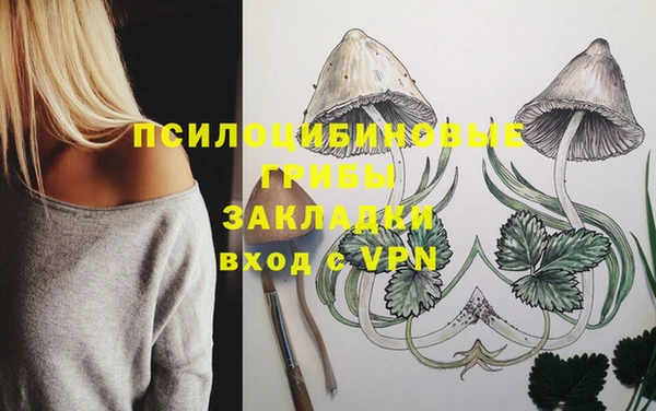твердый Арсеньев