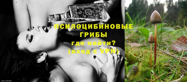 твердый Арсеньев
