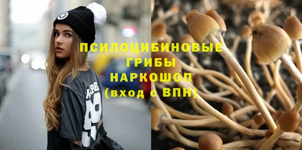 спиды Армянск