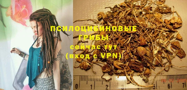 прущий лед Аркадак